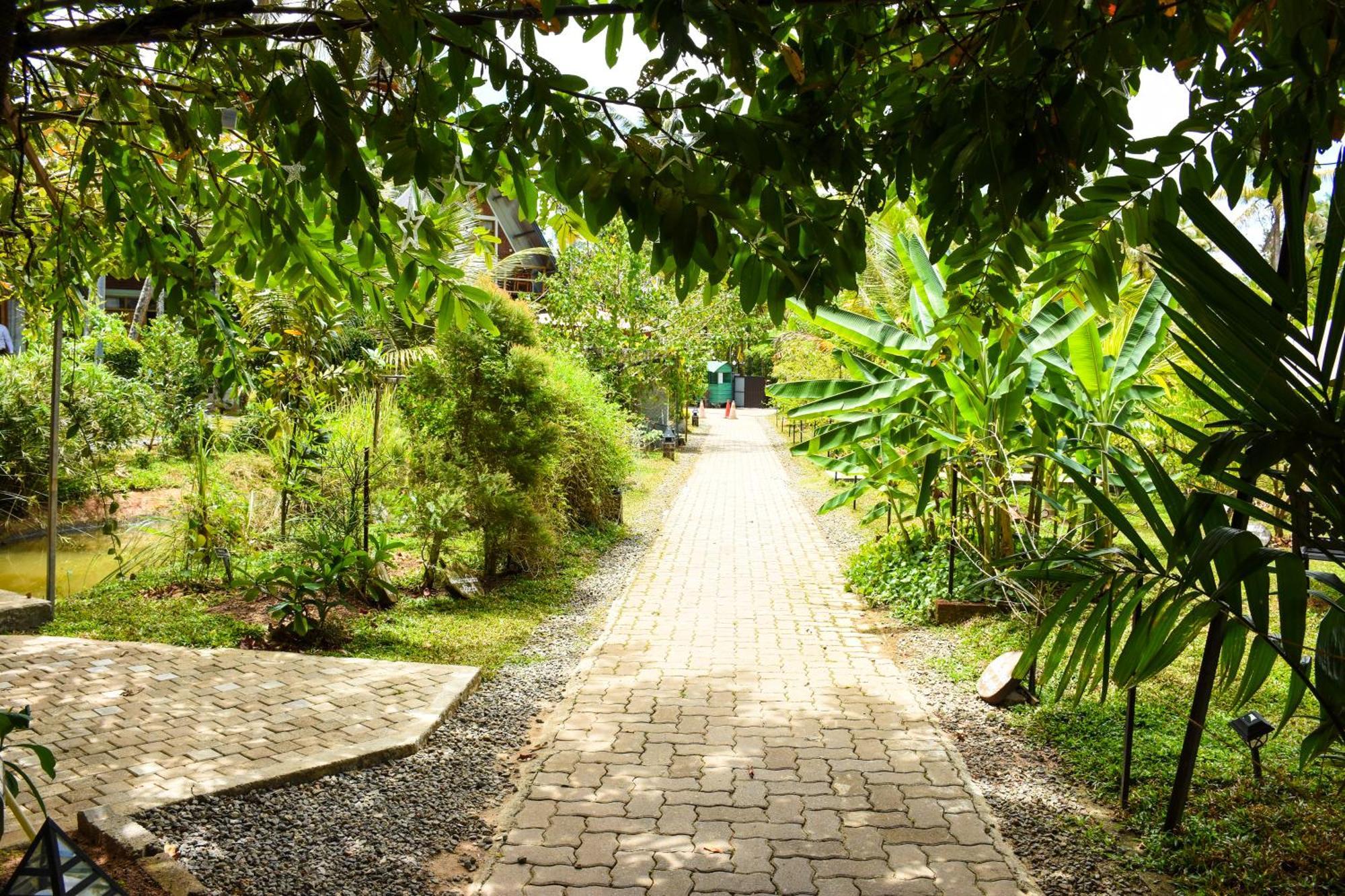 Steps Garden Resort เนกอมโบ ภายนอก รูปภาพ