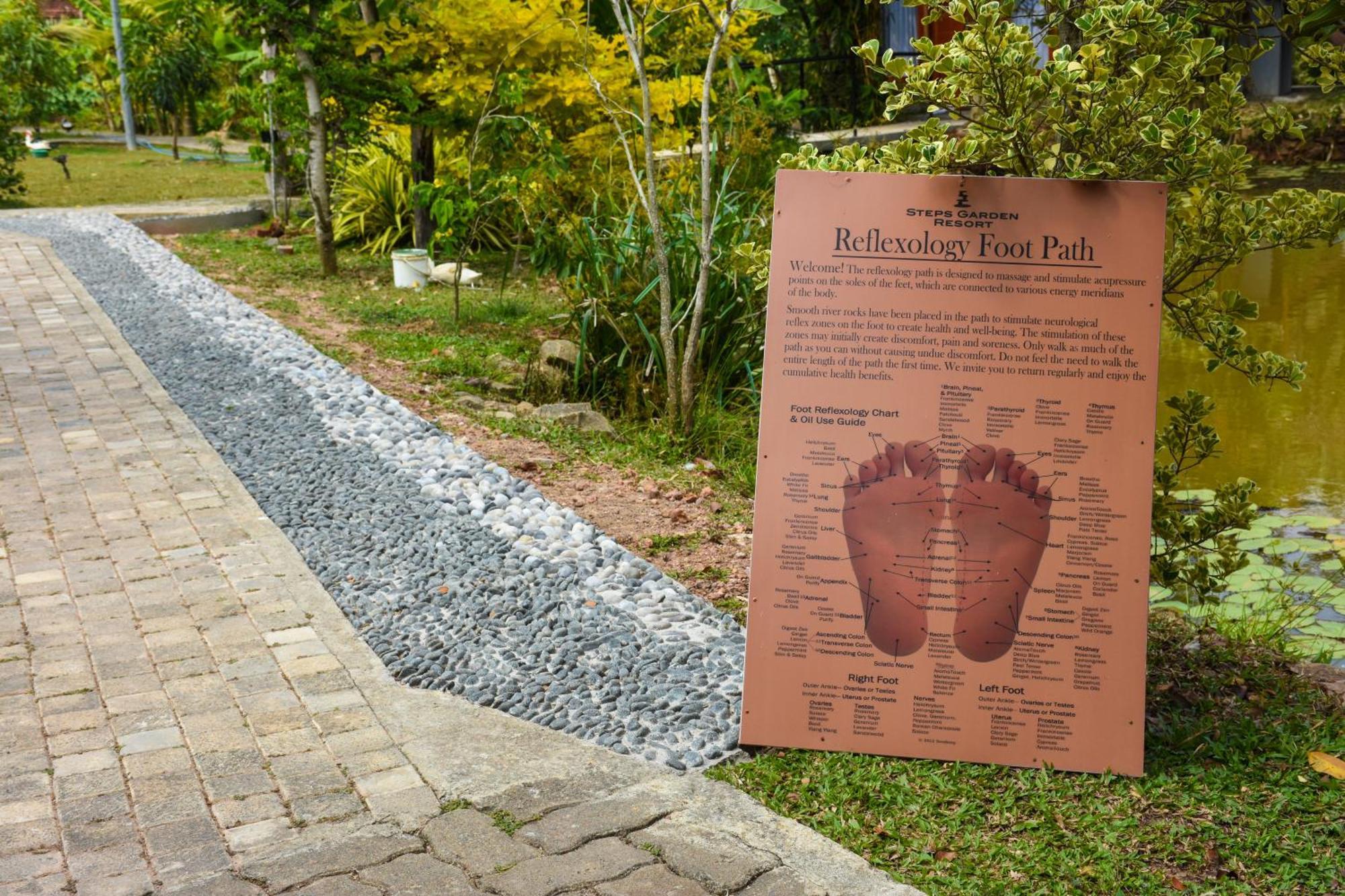 Steps Garden Resort เนกอมโบ ภายนอก รูปภาพ